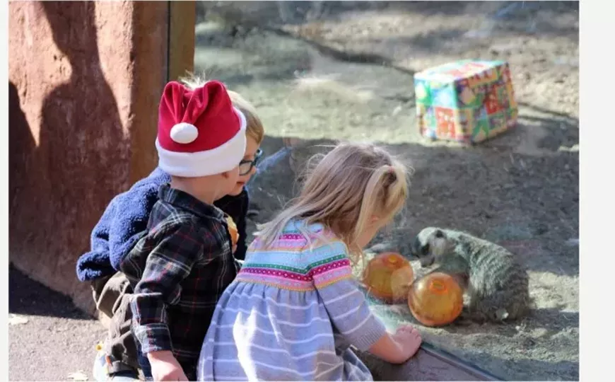holiday_magic.webp