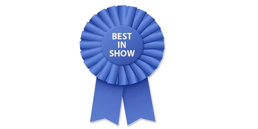 blog-show-1024x512.webp
