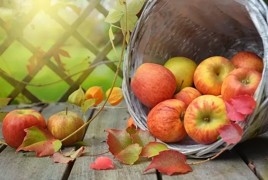apple-1776744_640.webp