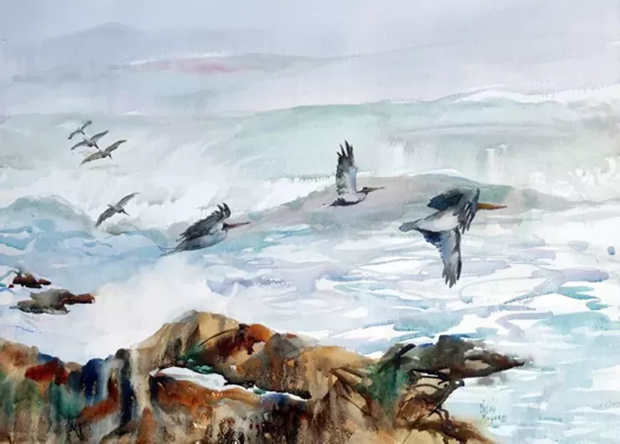 kmiller_pelican_flight.webp