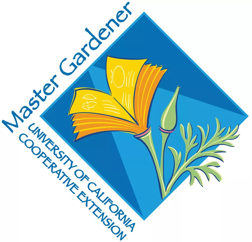mg_logo.webp