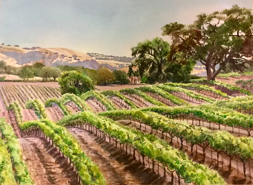 roller_coaster_vineyard.webp