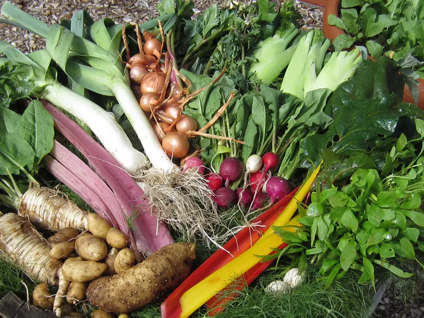 spring_veg.webp