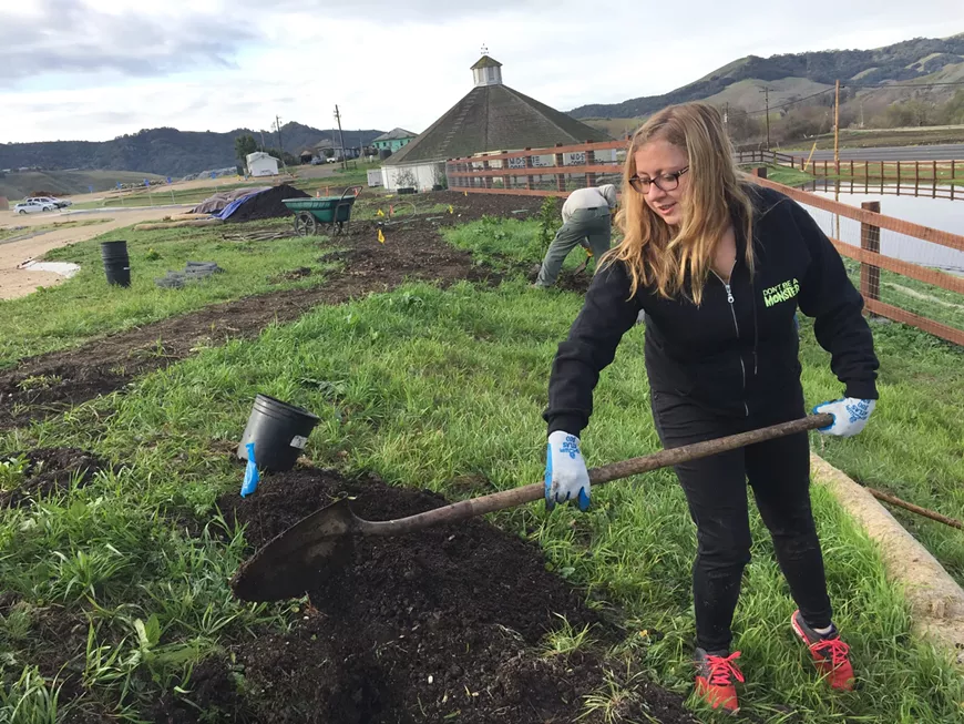 Volunteer plant restoration at Octagon Barn Center