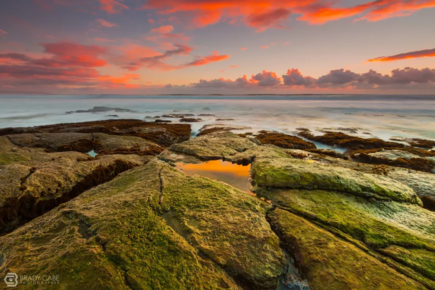 Photograph by Brady Cabe