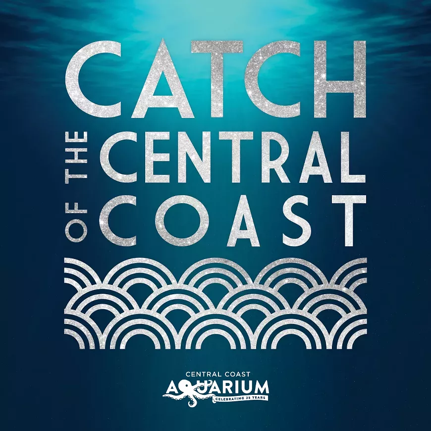 catch-2019-social-post_1_.webp