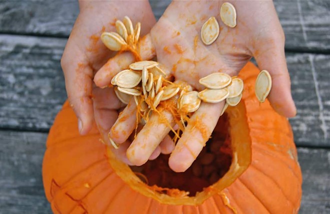 pumpkin-pulp-and-seeds.jpg