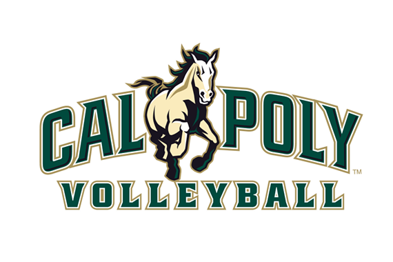 5a58e95f_volleyball_wordmark.png
