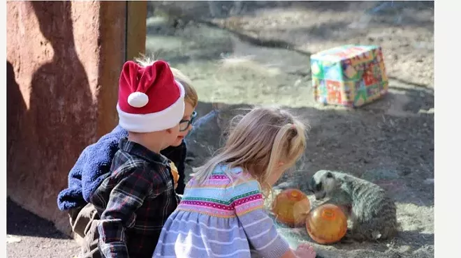 Image: Holiday Magic at the Charles Paddock Zoo