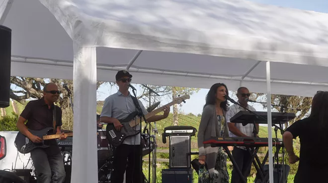 Image: Dark Star Harvest Party: The Sound Effect Band