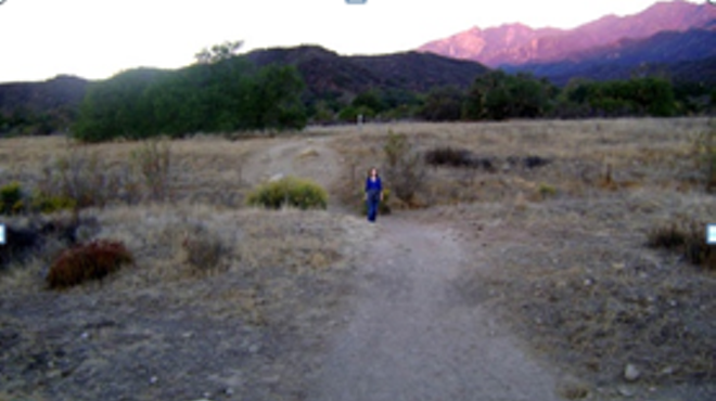 Image: Artist Talk: Art as Alchemical Portal to Nature