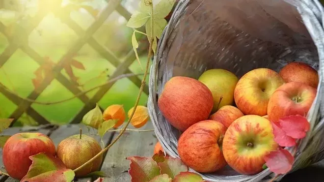 Image: UC Master Gardeners&rsquo; Fall Fruit Festival