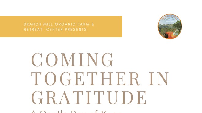 Coming Together in Gratitude: A Gentle Day of Yoga, Music, and Nourishment