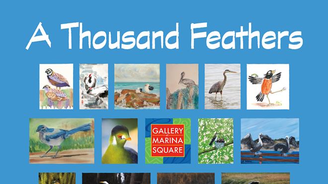 Image: Opening Reception and Art Walk: A Thousand Feathers
