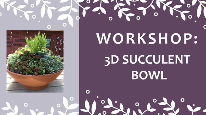 Image: Cambria Nursery and Florist Workshop: 3D Succulent Bowl