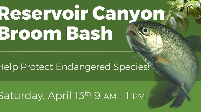 Reservoir Canyon Broom Bash: Help Protect Endangered Species!