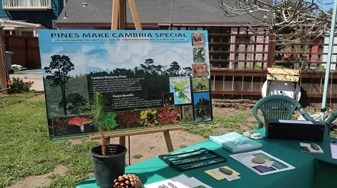 Image: Second annual Cambria Earth Day Celebration