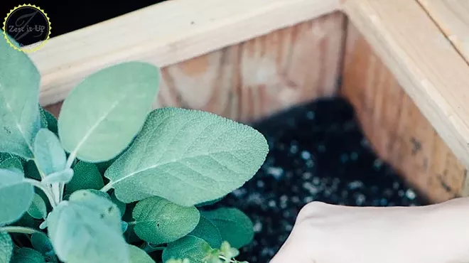 Image: HERBS 101 WORKSHOP WITH ZEST IT UP