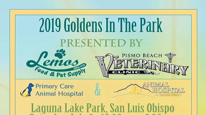 Image: Goldens in the Park