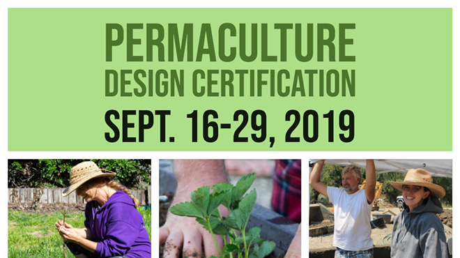 Permaculture Design Course (PDC)