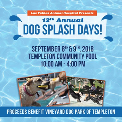 12th annual Dog Splash Days