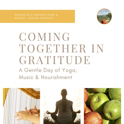 Coming Together in Gratitude: A Gentle Day of Yoga, Music, and Nourishment