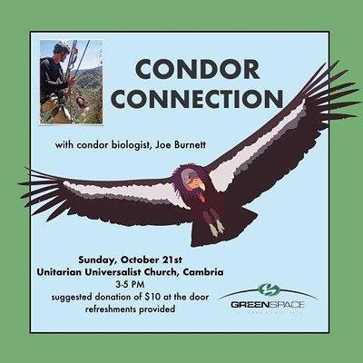 Condor Connection with Joe Burnett