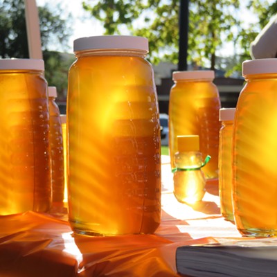 Golden Oak Honey and Pumpkin Festival