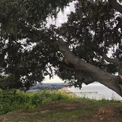 Image: Pismo Preserve closes to keep public safe during COVID-19 pandemic