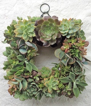 Make A Square Succulent Wreath