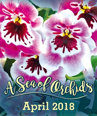 2018 Orchid Show Preview Benefit