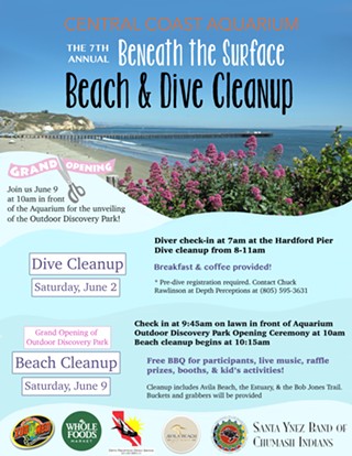 Seventh annual Beneath the Surface Dive and Beach Cleanup