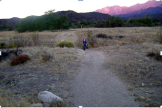 Image: Artist Talk: Art as Alchemical Portal to Nature