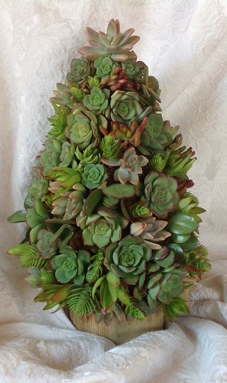 Succulent Holiday Tree