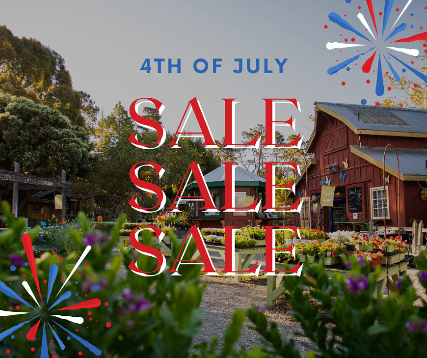 4th_of_july_sale_post.png