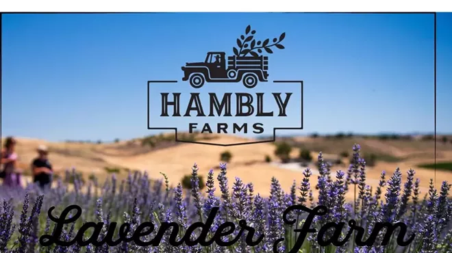 Image: Art of Keeping Bees: For Beginners at Hambly Farms