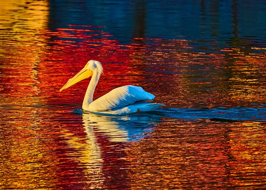 Fine Art Photograhy by Greg Siragusa