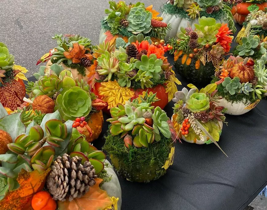 Fall Craft Fair Succulent Pumpkins