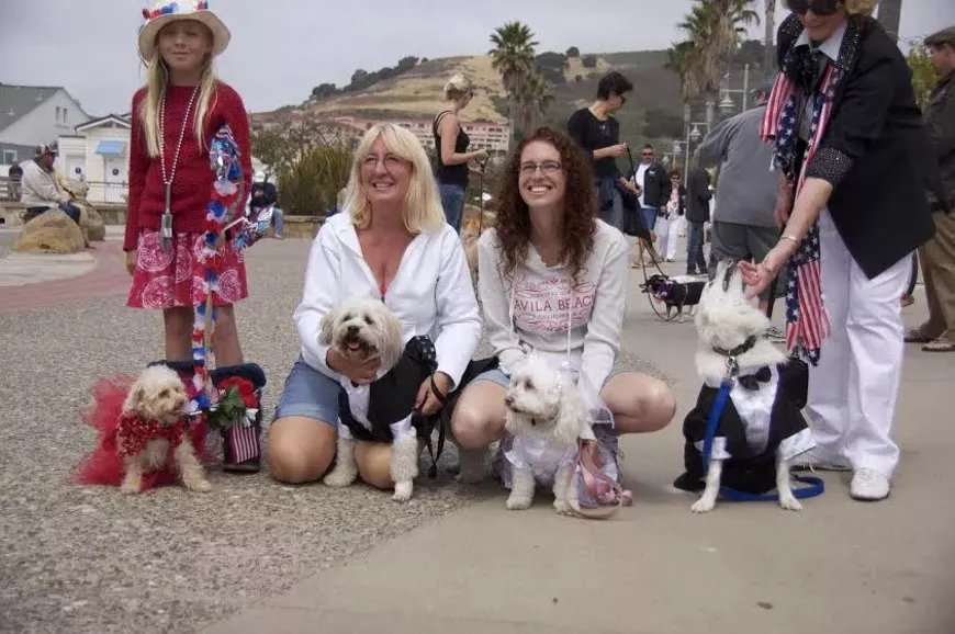doggie_parade_-_wedding_2012.webp
