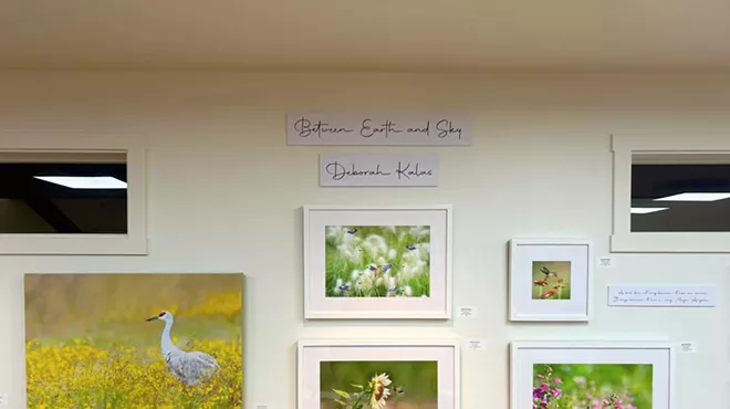 Image: Between Earth & Sky Exhibit