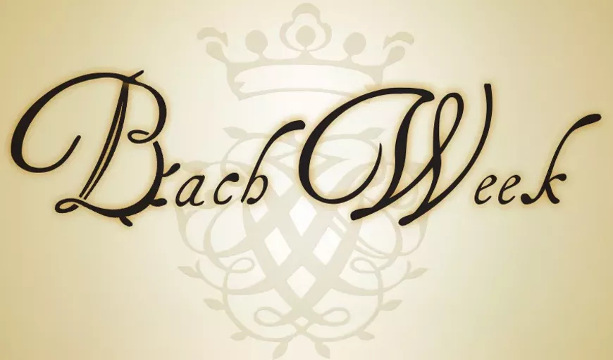 polylink-bachweek-3.webp