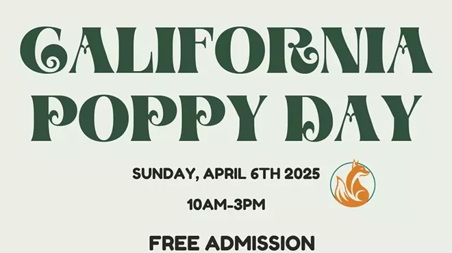 Image: California Poppy Day 2025
