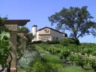 Image: Castoro Cellars