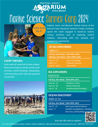 Image: Central Coast Aquarium Summer Camps