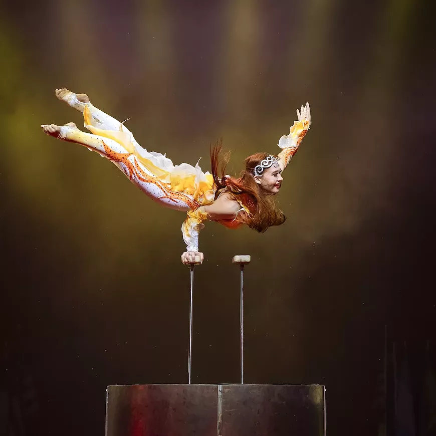 Daniella Arata, Handbalancer Extraordinaire