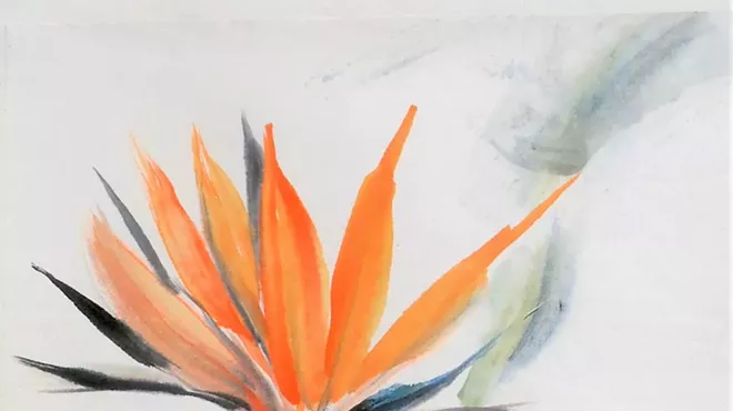 Image: Craft Artist Jari de Ham