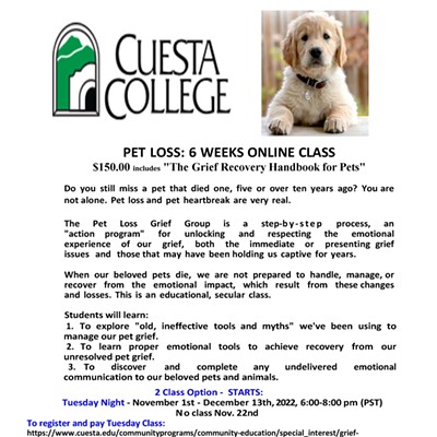 PET LOSS CLASS: 6 - WEEKS ON LINE - BOOK INLCUDED