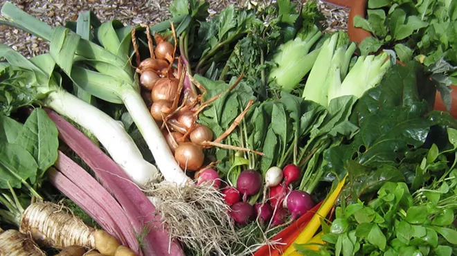 Image: Dallidet Spring Soup Sampler