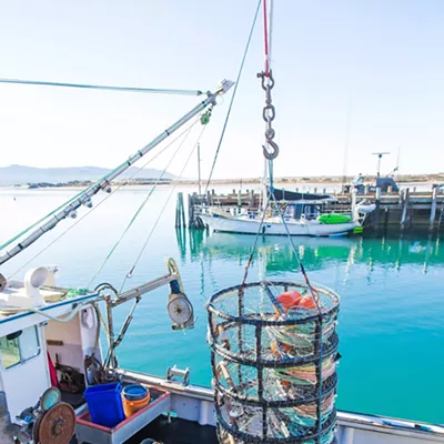 Image: Dungeness crab fishing season ends four weeks early