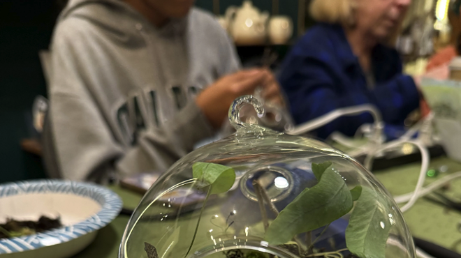 Image: Faerie Garden Class